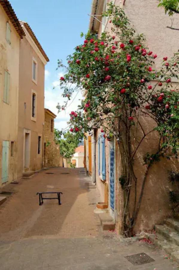Magnifique Neuf Au Centre D'istres Istres